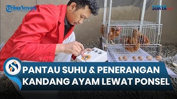 Mahasiswa Untag Surabaya Hadirkan Inovasi IoT untuk Peternakan Ayam Petelur