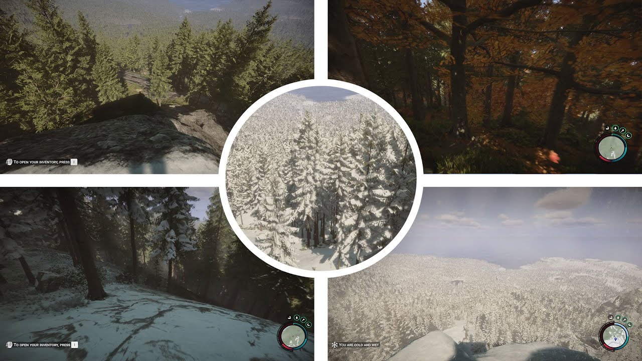 Sons of the Forest: Where to find water during winter in video game? Know  here - The Economic Times