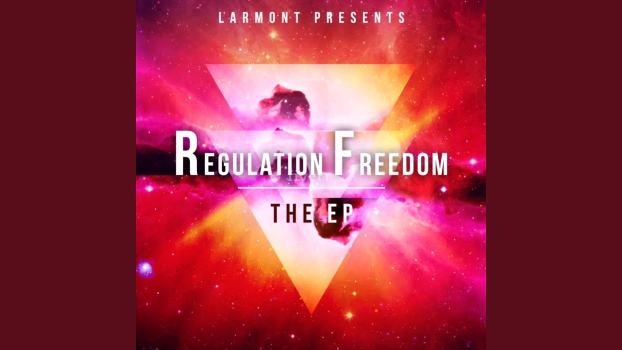 Regulated Freedom (The Regulation Mix)