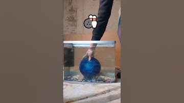 #smashit #follow #tiktok #instagram  #water #ball #followme