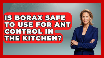 Is Borax Safe To Use For Ant Control In The Kitchen? - Insects and Invaders