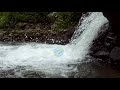 Terapi Suara Gemericik Air Terjun Mini Jeram Mengalir Deras Untuk Burung. Di Rahtawu, Wisata Kudus