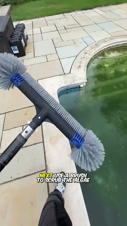 How is swimming pool water cleaned?
