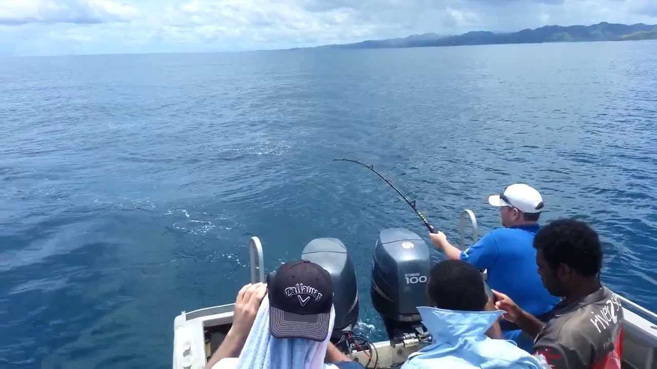Mahi Mahi Fishing Fiji February 2014 YouTube