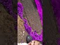 17 апреля 2025 г.