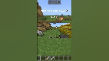 Do you have a friend? #friendship #friends #minecraft #fyp #fypviralシ