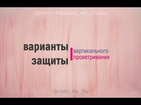 Способы защиты кошек от вертикального проветривания