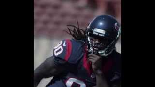 Panini: Jadeveon Clowney NFL We Live For Sundays #WhoDoYouCollect