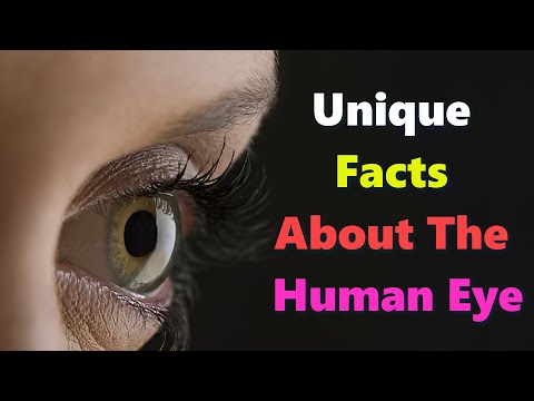 Unique Facts about the Human Eye - [Hindi] - Infinity Stream Shorts