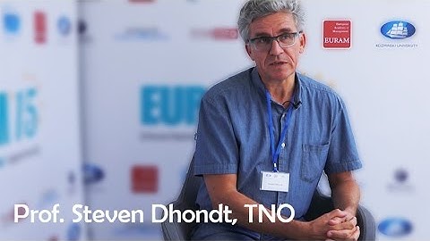 EURAM 2015 Conference - Prof. Steven Dhondt, TNO