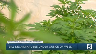 Bill Would Decriminalize Marijuana Possession Under One Ounce