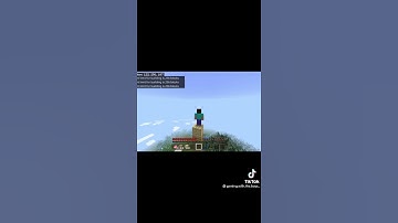 Which Minecraft Player Are You??