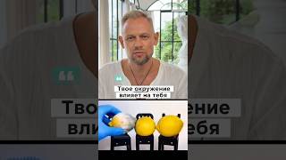 Твое окружение тебя УБИВАЕТ? 🍋😱