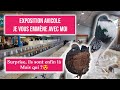 Exposition avicole et les nouveaux arrivants enfin à l&#39;élevage   😍