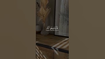 تلاوة هادئة خاشعة تريح النفس | حالات واتس اب دينيه