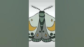 Moth digital art ✨ procreate drawing