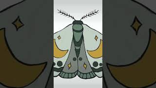 Moth digital art ✨ procreate drawing