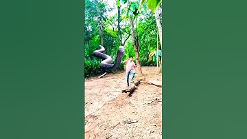 Nagin ka bhayanak hamla | #snake #nagin #shorts #shortsvideo