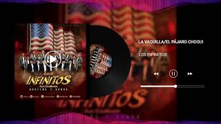 Video thumbnail of "⭕⭕LA VAQUILLA/EL PÁJARO CHOGUI🔥 LOS INFINITOS DE ZIRAHUEN🔥 LO MEJOR DEL 2021🔴🔴"