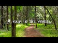 A walk in the woods...