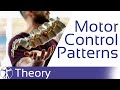 Motor control patterns in low back pain