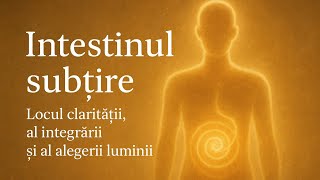 Intestinul subțire – Locul clarității, al integrării și al alegerii luminii | Activare completă
