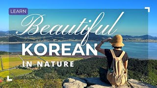 Beautiful Korean In Autumn A Healing Hike Up Haemyeong Mountain