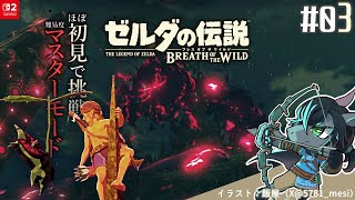 【ゼルダの伝説 ブレスオブザワイルド #03】勇者、家を買う【EquuStream V#572】