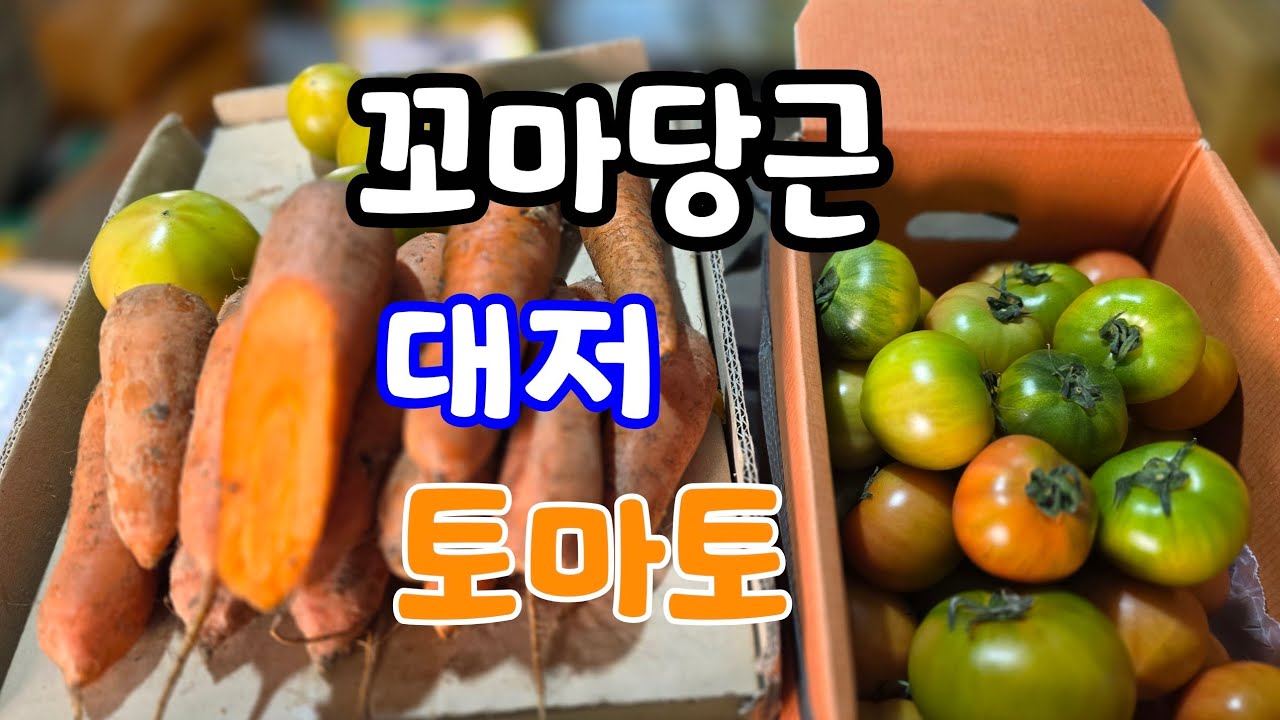 대저 토마토 🍅 꼬마당근,찹쌀 들깨 참깨