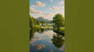 سورة هود (المنشاوى) #سورة_هود #قرآن #الله #quran #islam #المنشاوي #قران_كريم #الحمدلله #الصبر