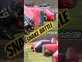 Trading in snake #shorts #paintball #speedball #paintballing Mp3 Song