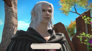 FINAL FANTASY XIV EndWalker MSQ: Travelers at the Crossroads