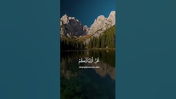 إن الذين قالوا #قناة_القرآن_الكريم #قران_كريم #قرآن #تلاوة_خاشعة#راحة_نفسية #سورة#آيات #المصحف