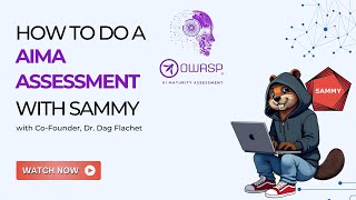 How to run an OWASP AIMA assessment for AI systems in SAMMY
