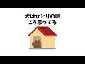 犬がひとりの時に思っていること