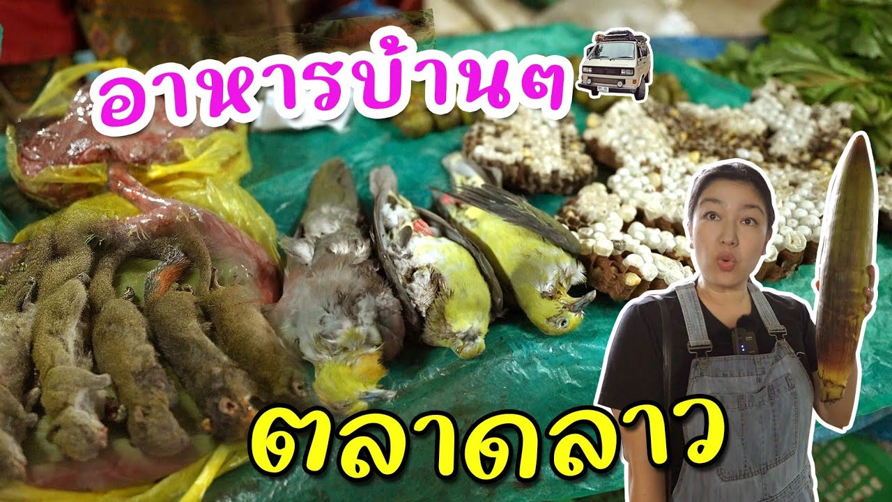 ตลาดปลาหาดจอมเทียน ชาวประมงขายเองจะถูกหรือแพง? I กู๊ดเดย์ ชลบุรี I Pattaya  Fish Market - YouTube