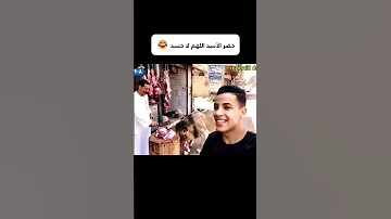 حضر الأسد اللهم لا حسد 