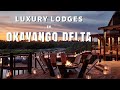Luxury safari lodges in okavango delta  authentic botswana safari  unexplored africa