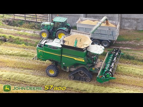 John Deere S7-800 mietitura riso / rice harvest -Società Agricola Ferrari-