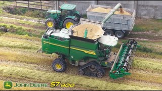 John Deere S7800 Mietitura Riso  Rice Harvest societ Agricola Ferrari