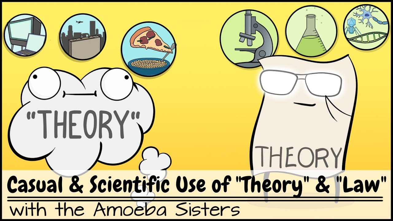 Theory Vs Law Worksheet - Escolagersonalvesgui