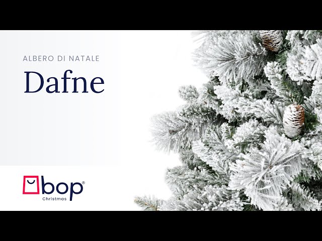 BOP Albero Di Natale Slim Narciso 210 Cm, In Polietilene Real Touch, Con  Borsa Omaggio, Apertura A Ombrello, Folto e Realistico