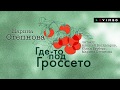 МАРИНА СТЕПНОВА «ГДЕ-ТО ПОД ГРОССЕТО» | #аудиокнига. Фрагмент