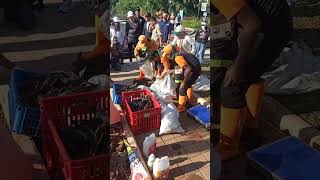 penangkapan ikan sapu-sapu di embung kaja #fyp #viral  #vlog #mancing  #fishing #jakartatimut