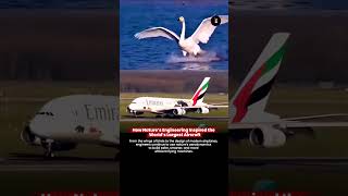 🚨 Engineering Insight ✈️ | Nature Taught Us How to Fly 🚨