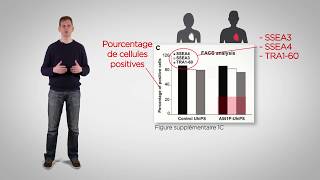 Fil Rouge 7 Validation De Lexpression De Protéines De Pluripotence Par Cytométrie En Flux