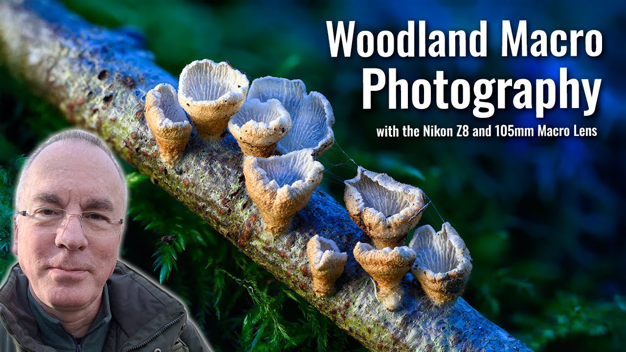 More Woodland Macro Photography! Focus stacking macro with the Nikon Z8 ...