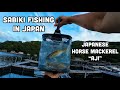 Sabiki fishing in japan  japanese horse mackerel aji
