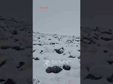 ❄️Արագածում արդեն խորը ձմեռ է. Գագիկ  Սուրենյան