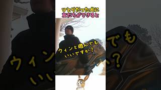 ひとりぼっちだった犬に友だちができると
